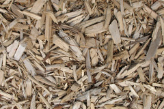 biomass boilers Tacleit